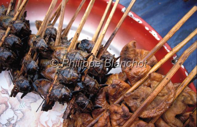 laos 24.JPG - Brochettes de Bélostome (Hemiptera) en vente sur le marché de Muang SingNord Laos